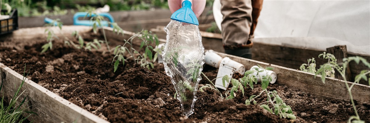 L'irrigation au jardin