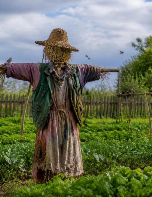 découvrez comment un épouvantail pour oiseaux peut protéger vos cultures et jardins, avec des conseils pratiques pour une utilisation efficace.