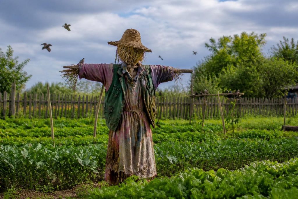 découvrez comment un épouvantail pour oiseaux peut protéger vos cultures et jardins, avec des conseils pratiques pour une utilisation efficace.